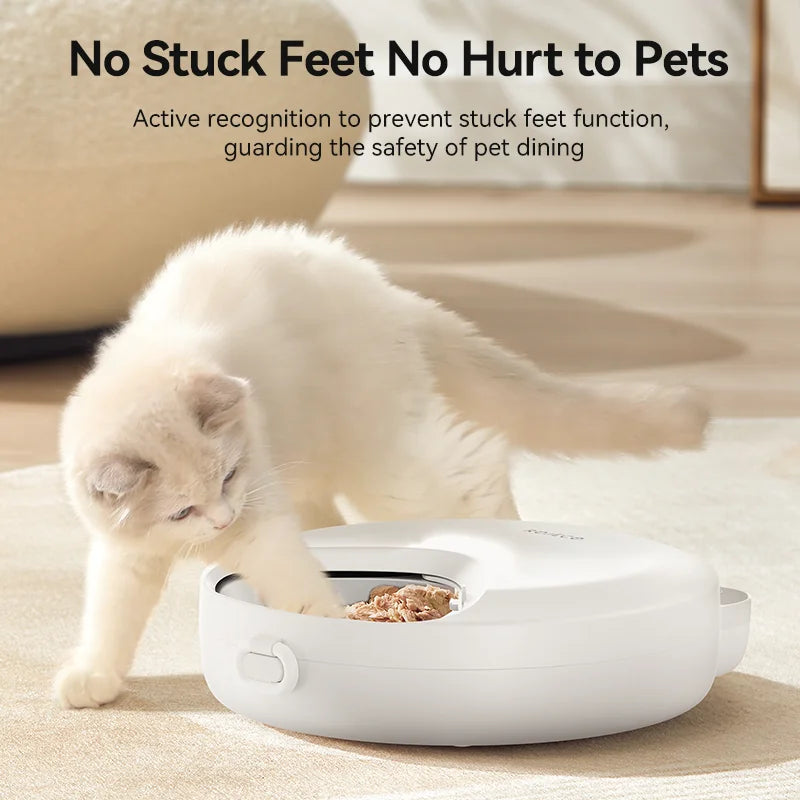 ROJECO 4-Meal Automatic Pet Feeder