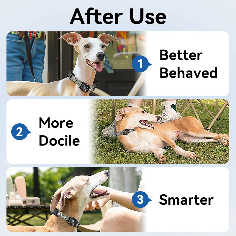 ROJECO Automatic Anti-Bark Collar