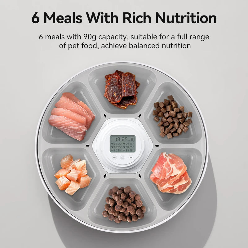 ROJECO Automatic Pet Feeder for Wet & Dry Food